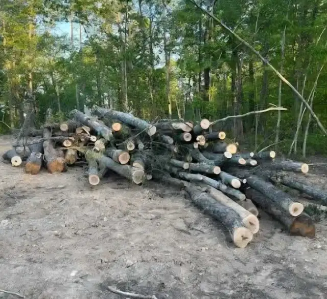 Drop off logs  for free in Other in City of Toronto - Image 2