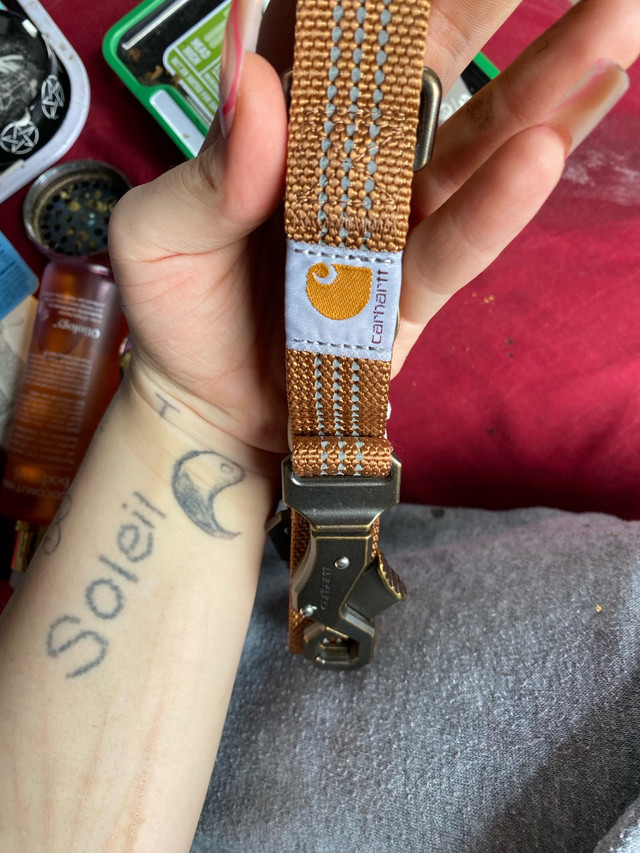  Brand new Carhartt dog leash in Other in City of Halifax