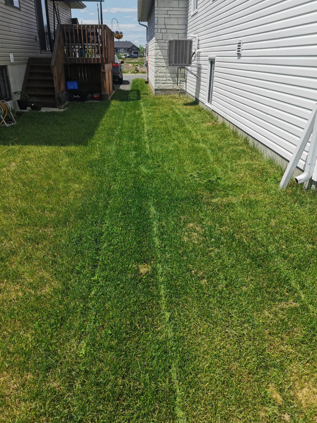 Residential Mowing & Landscaping 2025 in Other in Cornwall - Image 4
