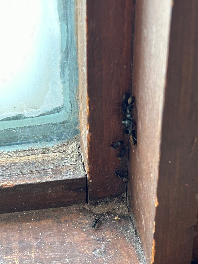 Rentals Free Stuff Guelph Kijiji