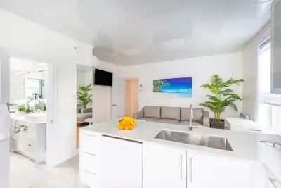 ✨✨✨✨✨Idéal pour étudiants et voyageurs ou colocataires ✨✨✨✨✨✨✨✨ Superbe appartement entièrement meub...