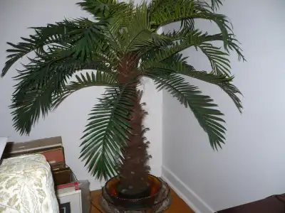 CREAT THAT ISLAND VIBE THIS SUMMER WITH THIS FAUX PALM TREE, View more