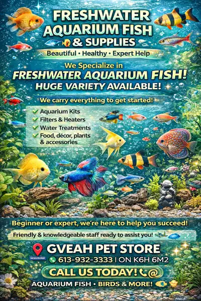 Aquarium Fish, View more