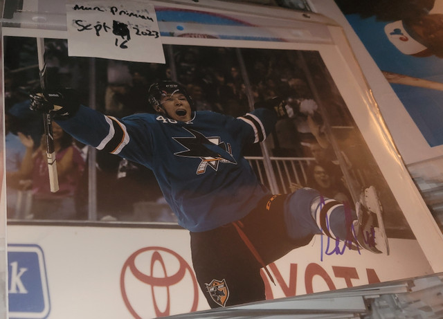 Tomas Hertl signed 8x10 photos Sharks Hockey/Photos 8x10 signées dans Art et objets de collection  à Ville de Montréal - Image 2