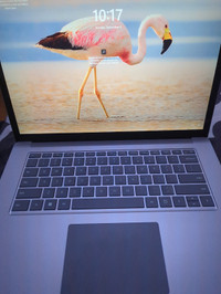 Surface laptop 4 15.6" casiment neuve 
