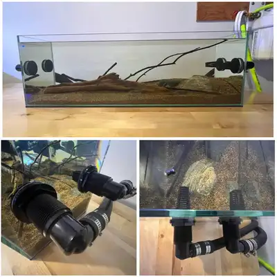 PICK UP IN WAHNAPITAE CASH ONLY. NO TRADES. This is not a beginner's aquarium-this is an advanced ri...
