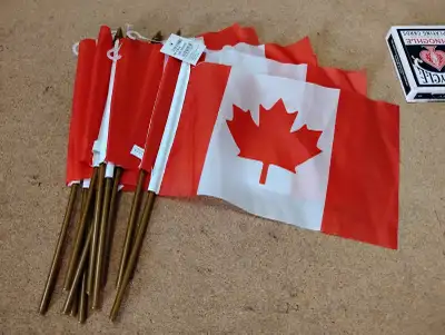 x10 Drapeau du Canada Mini Flags, View more