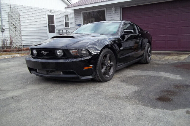 For Sale:  Super Charged 2012 Mustang GT in Cars & Trucks in Miramichi - Image 3