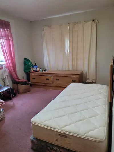Male student sharing Furnished Room in mississauga