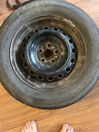 Toyota Corolla Tires and OEM Steel Rims