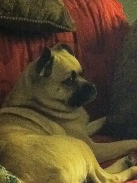 Our World Is Going DIGITAL, Get Your Business READY Today!!! in Other Business & Industrial in Calgary - Image 2