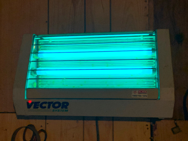 Vector Fly Light in Other in Annapolis Valley