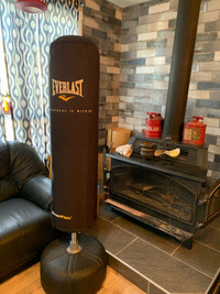 Everlast flexible portable boxing bag 