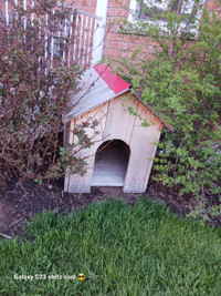 Dog house