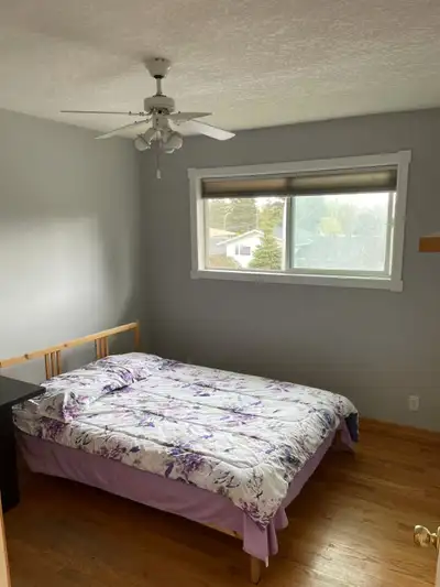 Two rooms near U of C for rent, $750 /month each, Sept. 1st