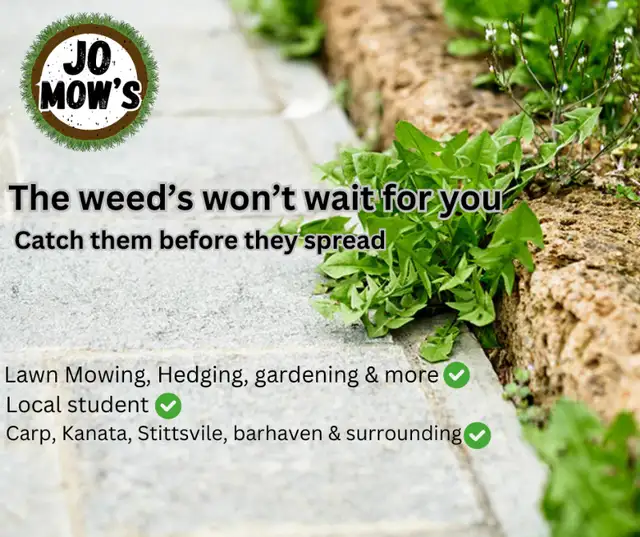 Lawn mowing, gardening, and more!628632228433941210