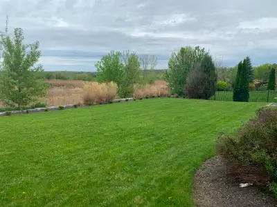 Lawn Cutting / Weekly Lawn Care – Free Quotes, View more