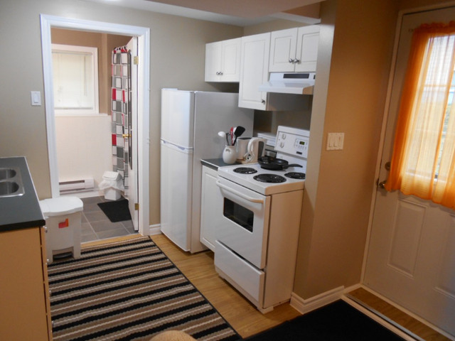 Available May 1 2024 - Furnished Bachelor Apt - Corner Brook in Long Term Rentals in Corner Brook - Image 2