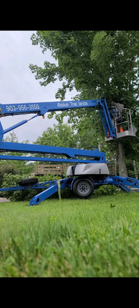 Arborist doing tree removal and trimming 