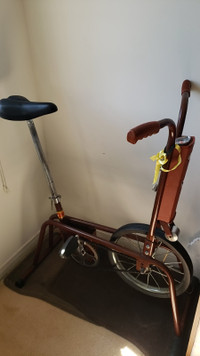 For Sale: SuperCycle Antique Exercise Bike