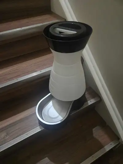 self filling dog bowl, View more