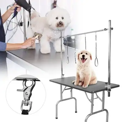 Dog grooming table kijiji discount