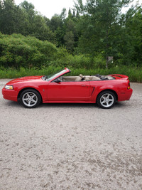 1999 Ford Mustang SVT Cobra Convertible (1 of 608)