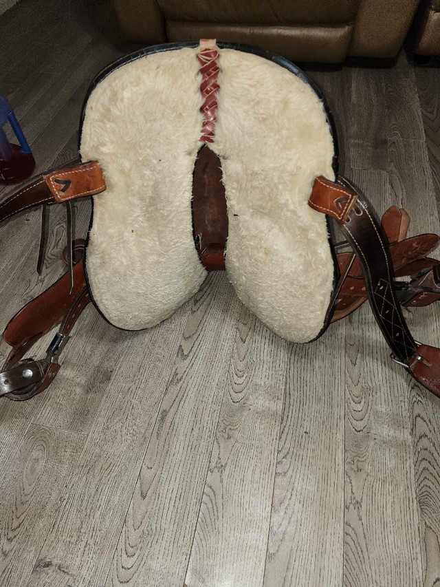 12 inch double t saddle in Equestrian & Livestock Accessories in Regina - Image 3