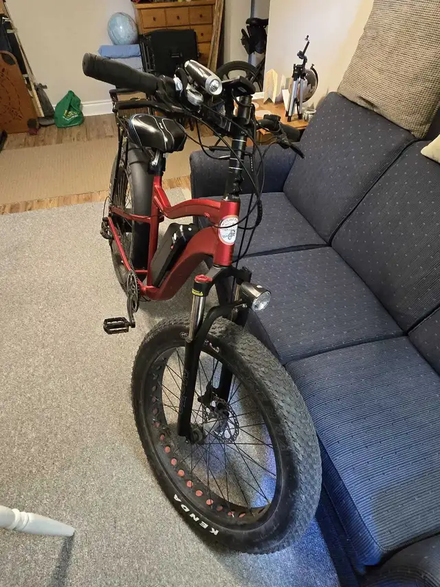 E ASSIST BIKE in eBike in Kingston - Image 7