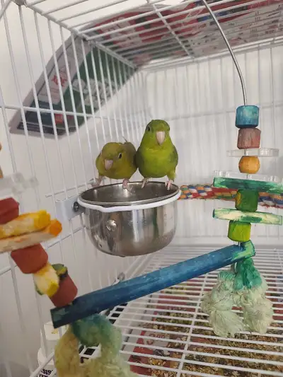 touis catherine, View more