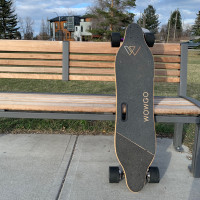 Wowgo 2S Electric Skateboard / Longboard