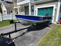 14 ft aluminium boat with 25hp Mercury tiller