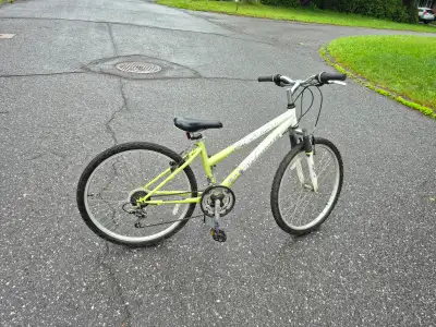 Nakamura girls small 15" frame bicycle, View more