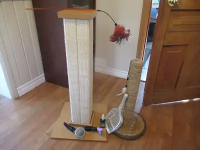 I HAVE TWO CAT SCRATCHING POSTS AND ACCESSORIES LITTER BOX SMALL SHADE GROOMING BRUSHES. $50 [CASH O...