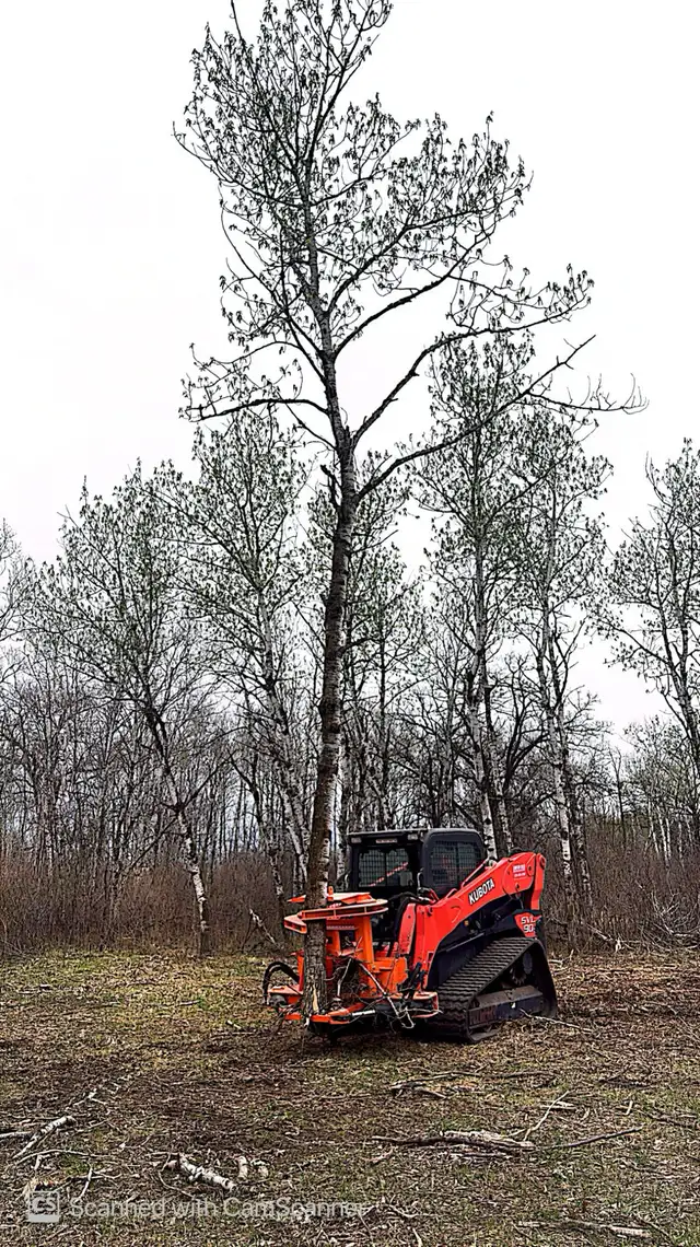 Brush Mowing 460148150769428481