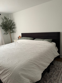 King Bed for Sale - Upholstered