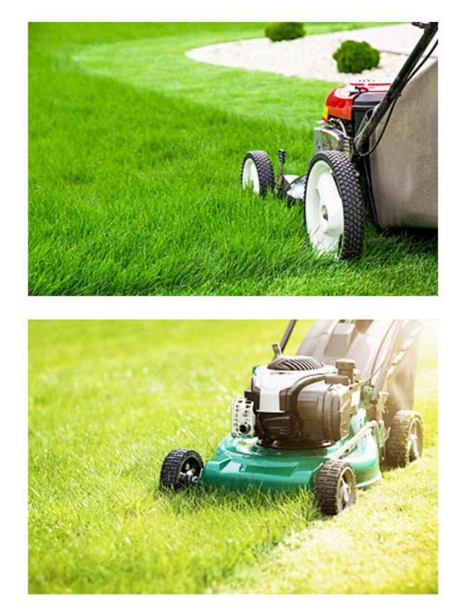 Grass cutting  in Cleaning & Housekeeping in City of Halifax