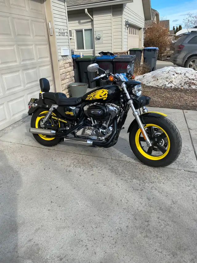 2013 Harley Davidson Sportster 1200