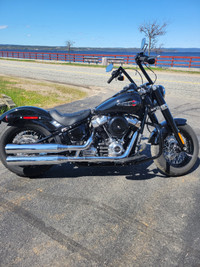 Harley davidson softail slim 2021