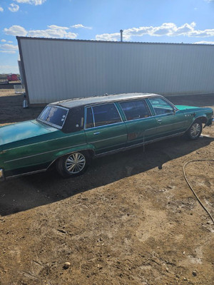 1978 Buick Electra Green