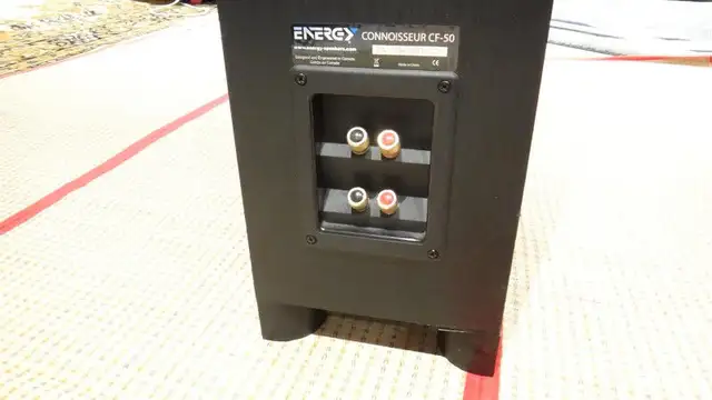 One Energy Connoisseur CF-50 flooring speaker parting out in Speakers in Markham / York Region - Image 9