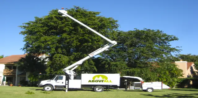 ABOVE ALL TREE SERVICES - CERTIFIED ARBORISTS ✅ (204) 898-2444 in Lawn, Tree Maintenance & Eavestrough in Winnipeg - Image 5