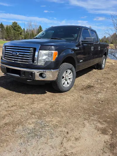 Je vends mon Ford F-150 2011, équipé d'un moteur 3.5L EcoBoost. Ce camion a été bien entretenu et es...