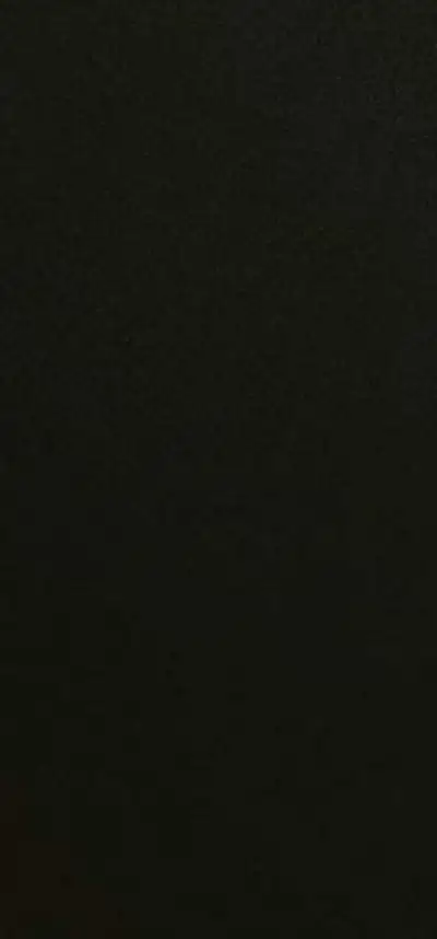 Sold pomsky, View more