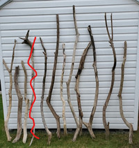 Bois Flotté  de Grève   Long pieces of Driftwood