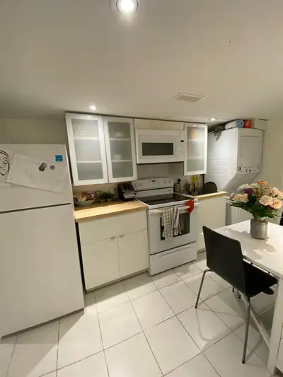 2 bedroom basement apartment in downtown Toronto