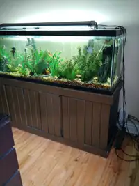 Aquarium de 125 gallon à vendre 