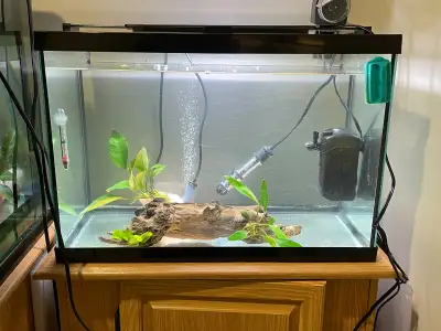 All Fish  fry+Full setup 21g fish tank and stand, View more