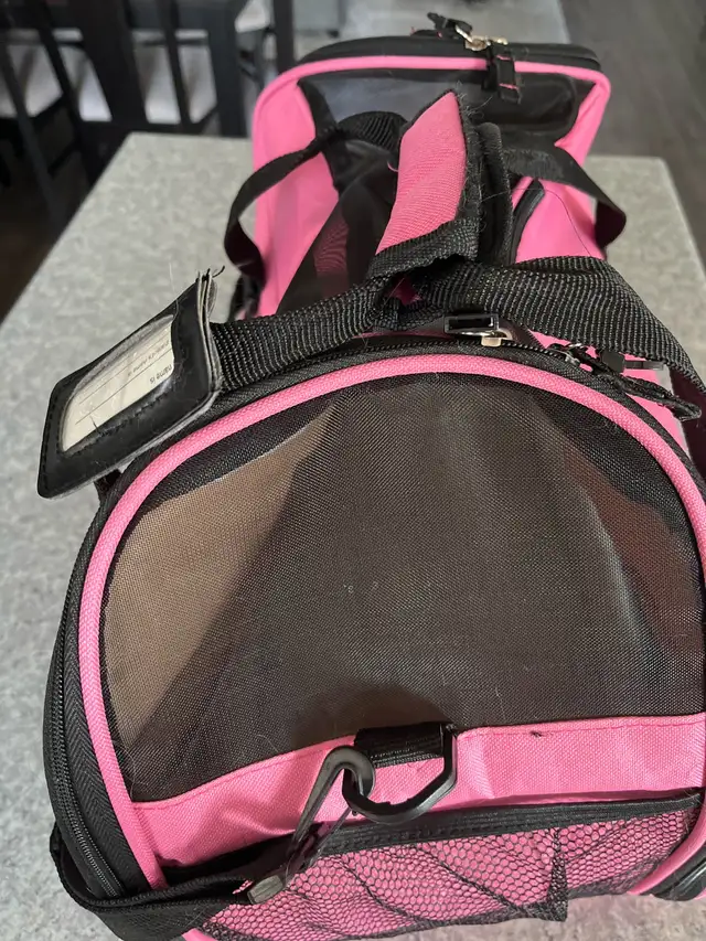 Small pet carrier in Accessories in Regina - Image 6