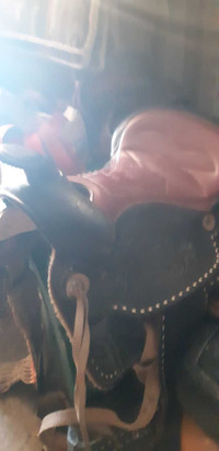 Western saddle, matching bridal with saddle pad